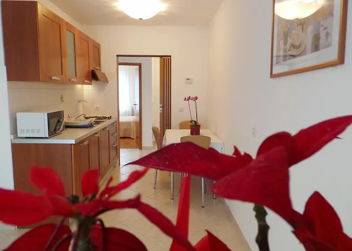 Apartman In - Istrien 8456 Fažana